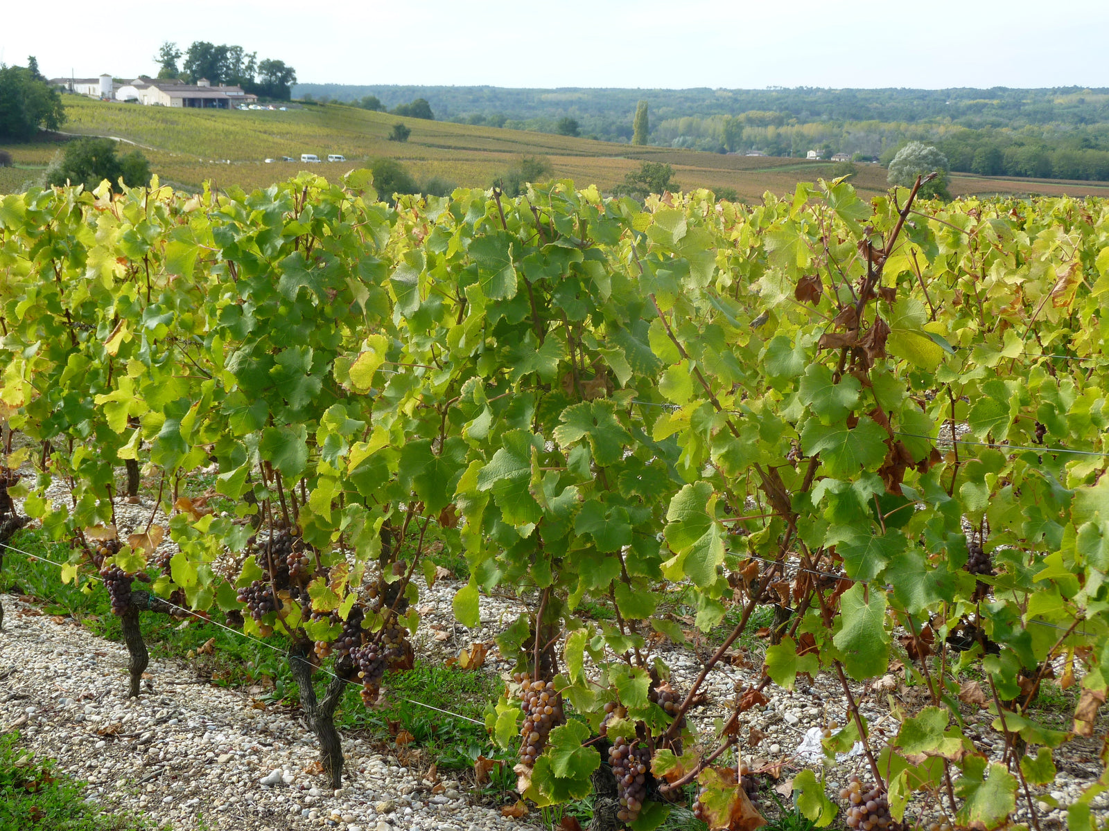 Château Briatte