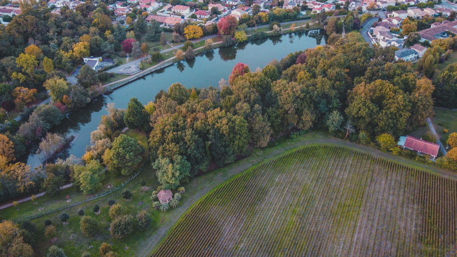 Aerial autumn view of a Bordeaux river town with colourful trees lining the water and a vineyard plot alongside, Nouvelle-Aquitaine, France