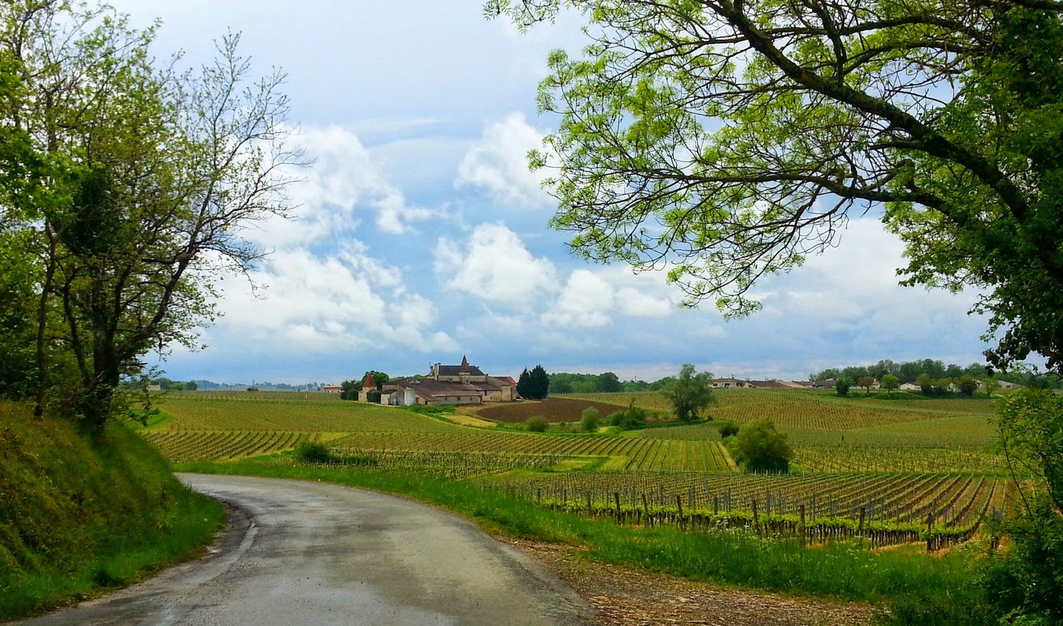 A country lane lined by trees winding through vineyard rows towards an estate amid rolling hills, Montagne-Saint-Émilion, Bordeaux. Photo: Gilles Guillamot (CC BY-SA 3.0)