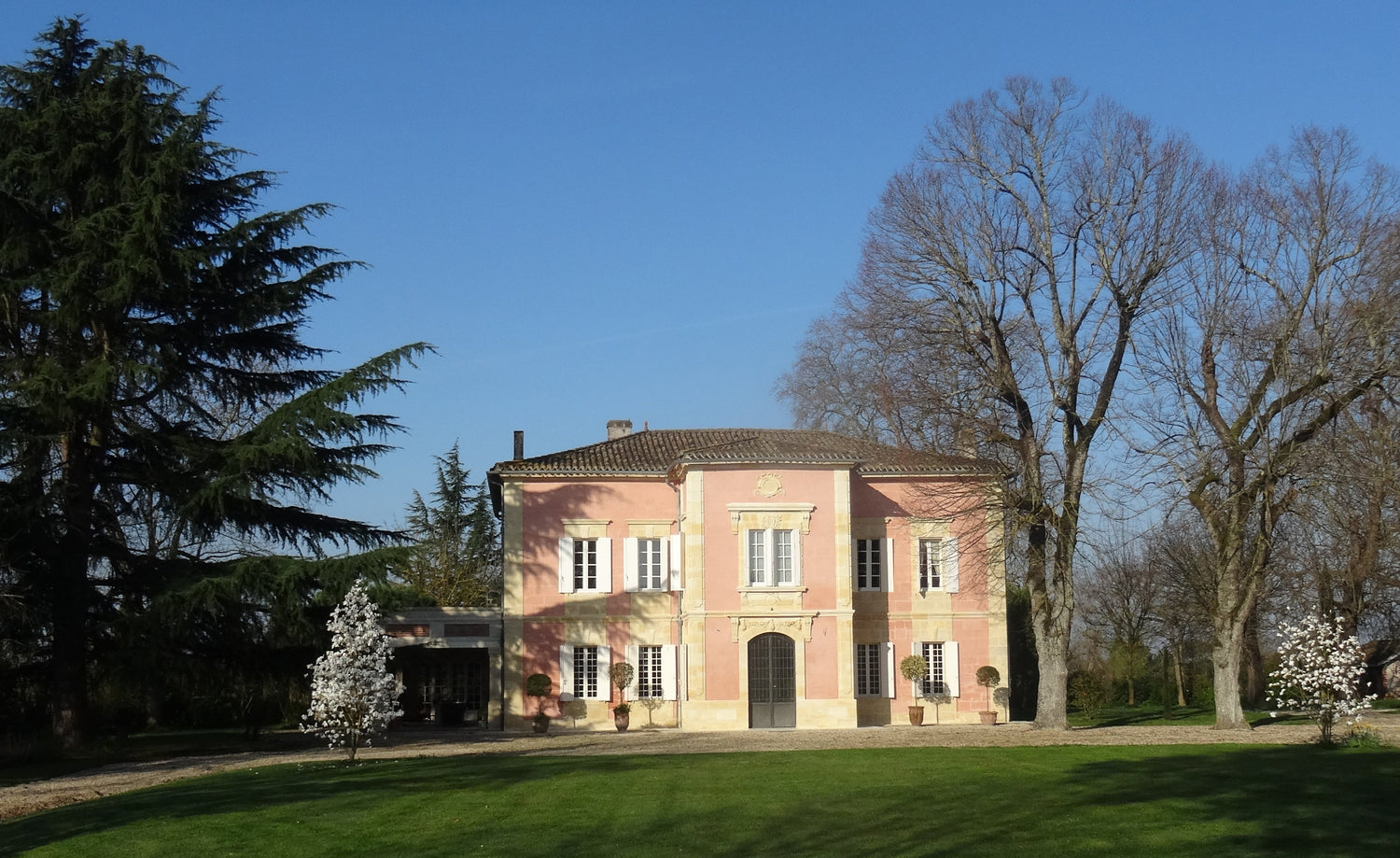 The pink-walled 18th-century manor house of Château des Annereaux with magnolia trees in bloom, Lalande-de-Pomerol, Bordeaux