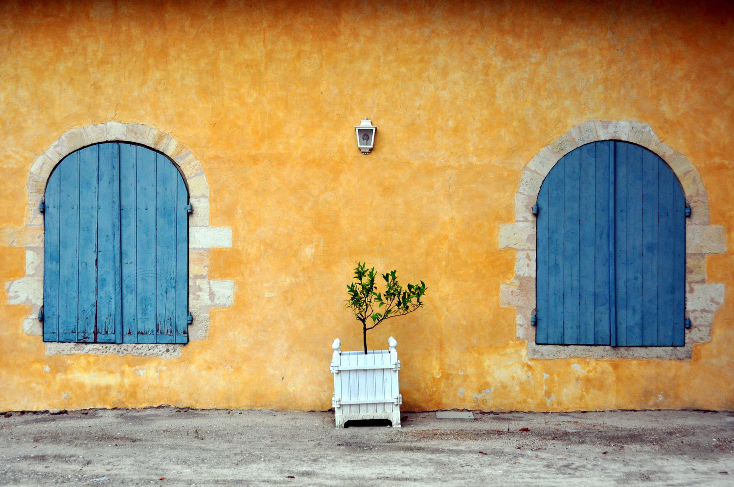 Yellow ochre outbuilding wall with arched blue wooden shutters and a potted sapling, Château Kirwan, Margaux, Bordeaux. Photo: xlibber (CC BY 2.0)