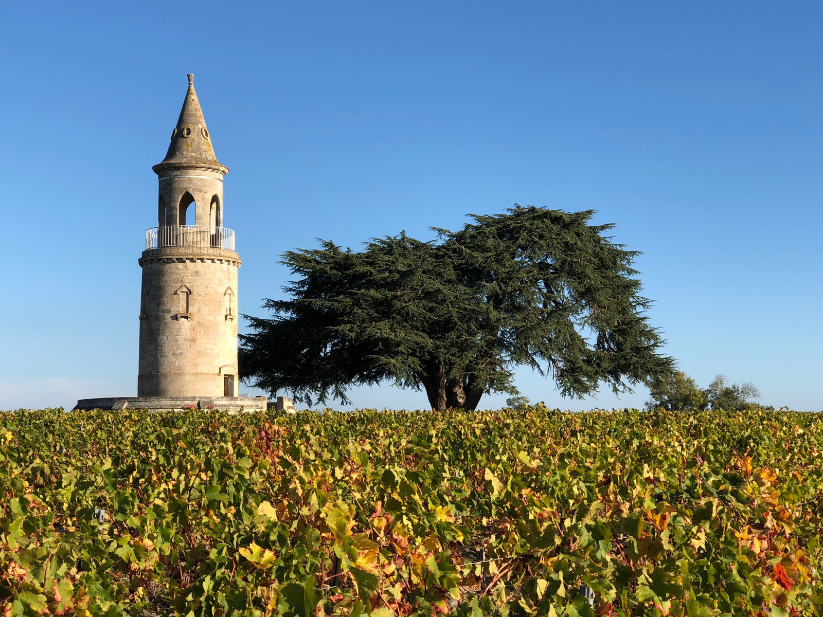 Chateau La Tour de By
