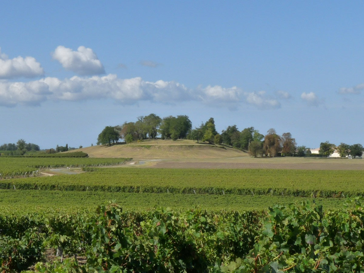 Château Le Pey