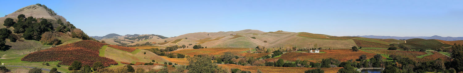 Panoramic view of autumn-red vineyard rows across rolling golden hills in Napa Valley, with mountains beyond, Château Montelena, California. Photo: Brocken Inaglory (CC BY-SA 3.0)