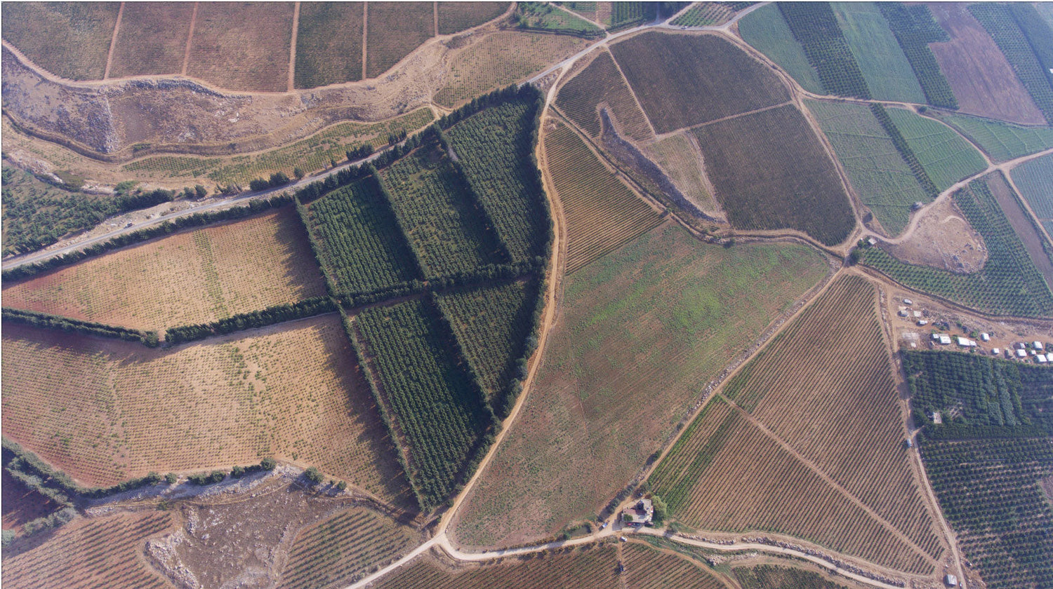 Aerial view of mixed vineyard and orchard plots across the Bekaa Valley floor, Château Musar, Lebanon. Photo: MyaBell117 (CC BY-SA 4.0)