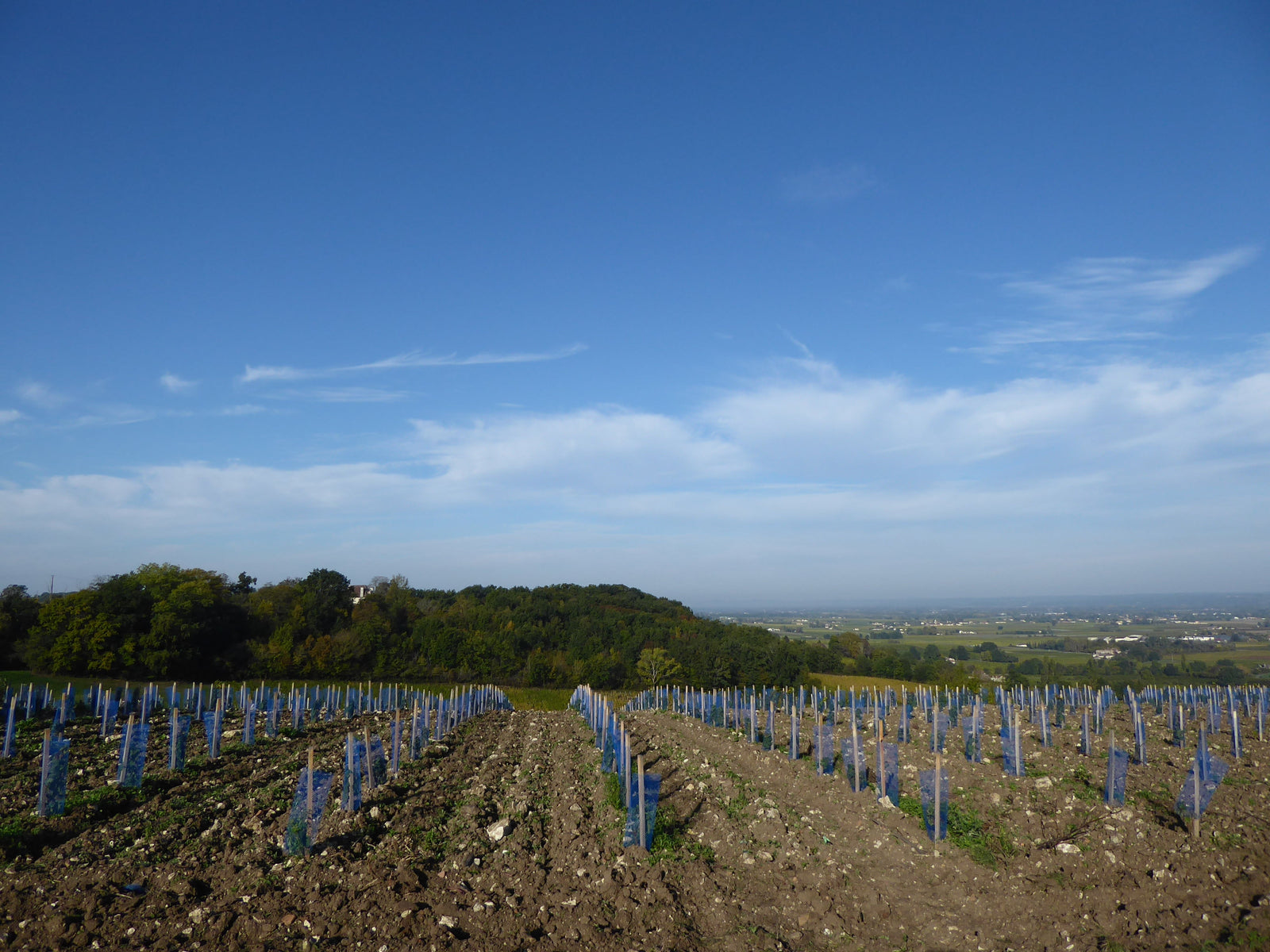 Château Ramon