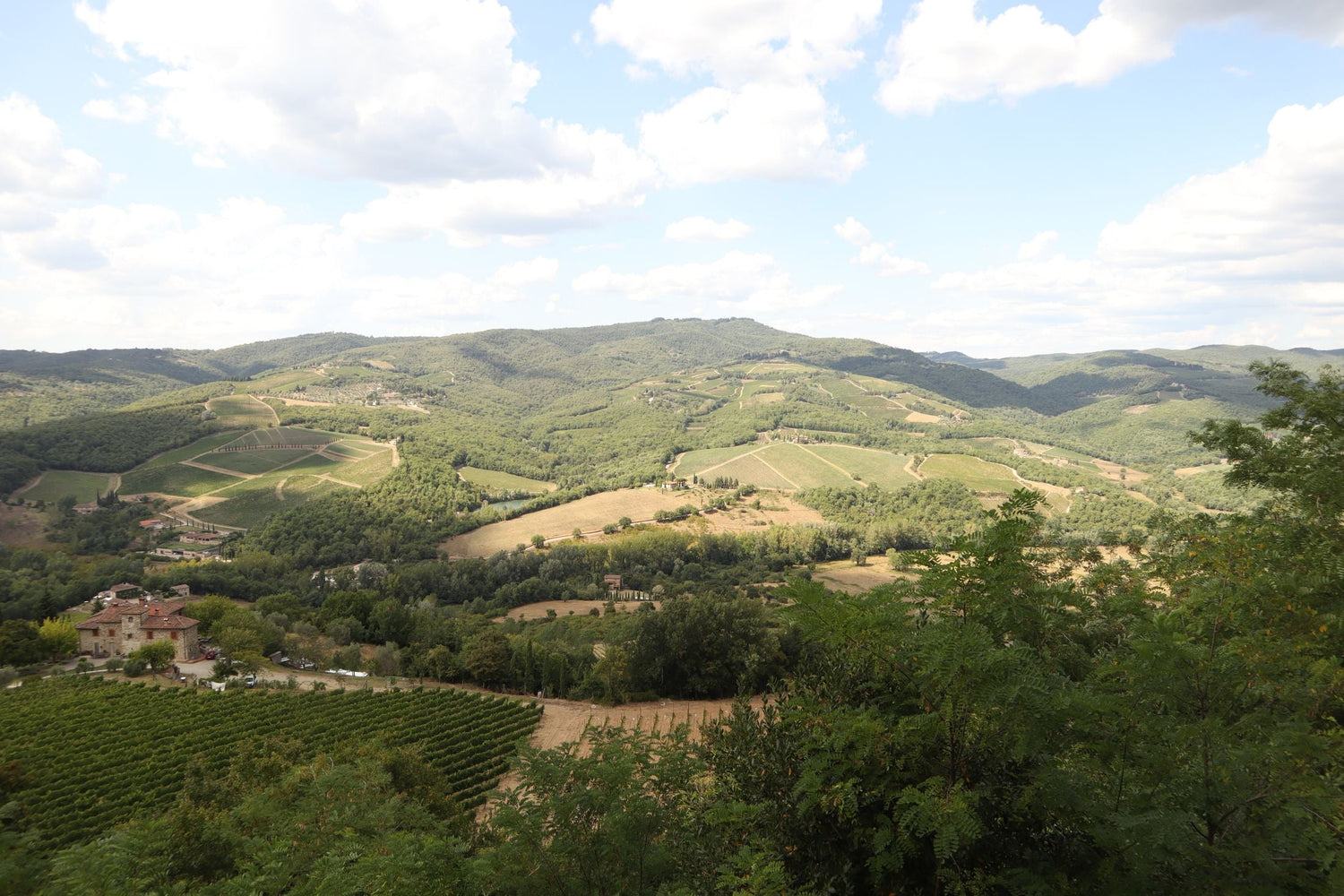 Rolling Tuscan hills with vineyard patches, olive groves and stone farmhouses in the Chianti Classico wine region, Tuscany, Italy