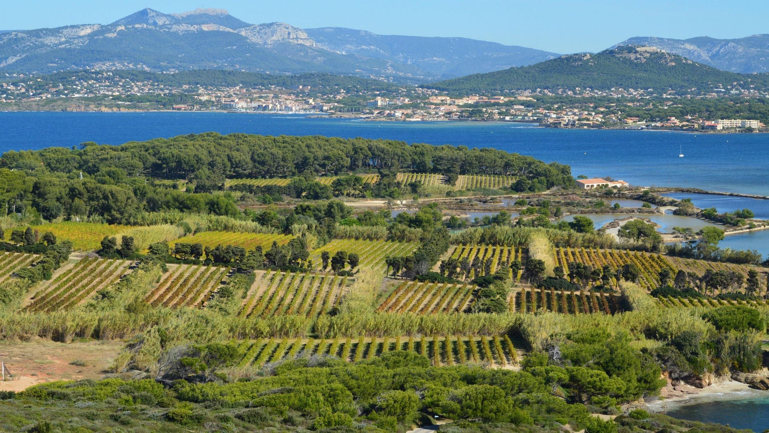 Aerial vineyard panorama above the coastal hills of Comté Tolosan, south-west France, with the Mediterranean visible in the distance