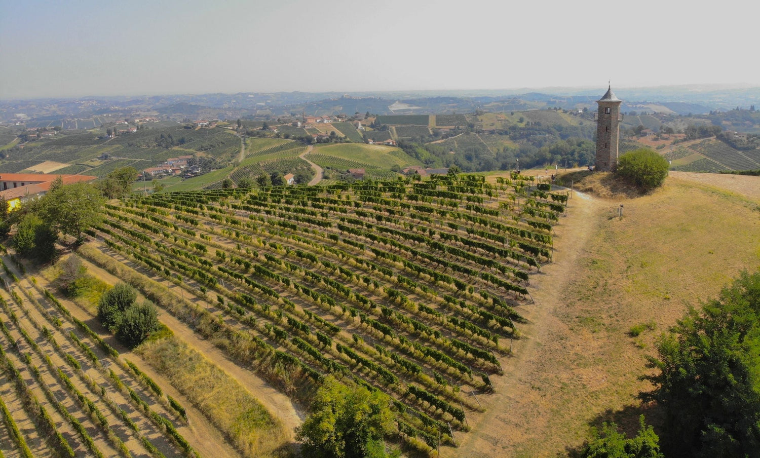 Aerial view of terraced hillside vineyards and an ancient stone tower at the Crociani estate, Montepulciano, Tuscany