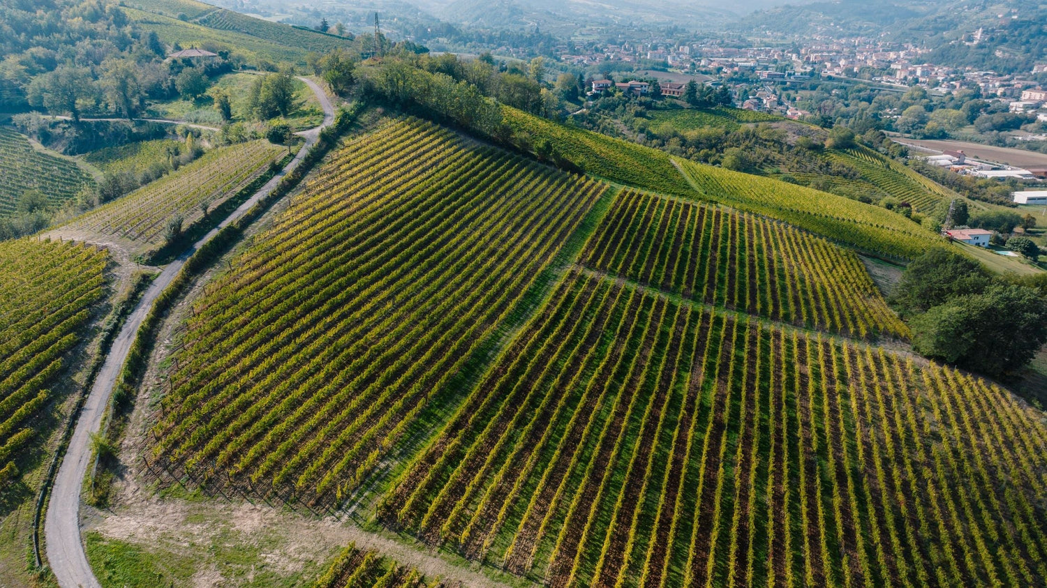 Aerial view of rolling vine-covered hills with a hilltop village beyond, Dimitri Mesnard wine estate, southern France