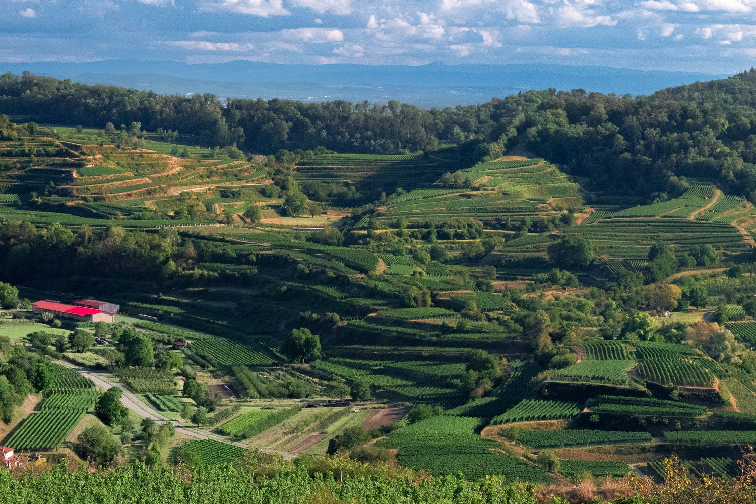 Panoramic view of terraced vineyards across rolling hills with a red-roofed farm building, Domaine Bel Air, France
