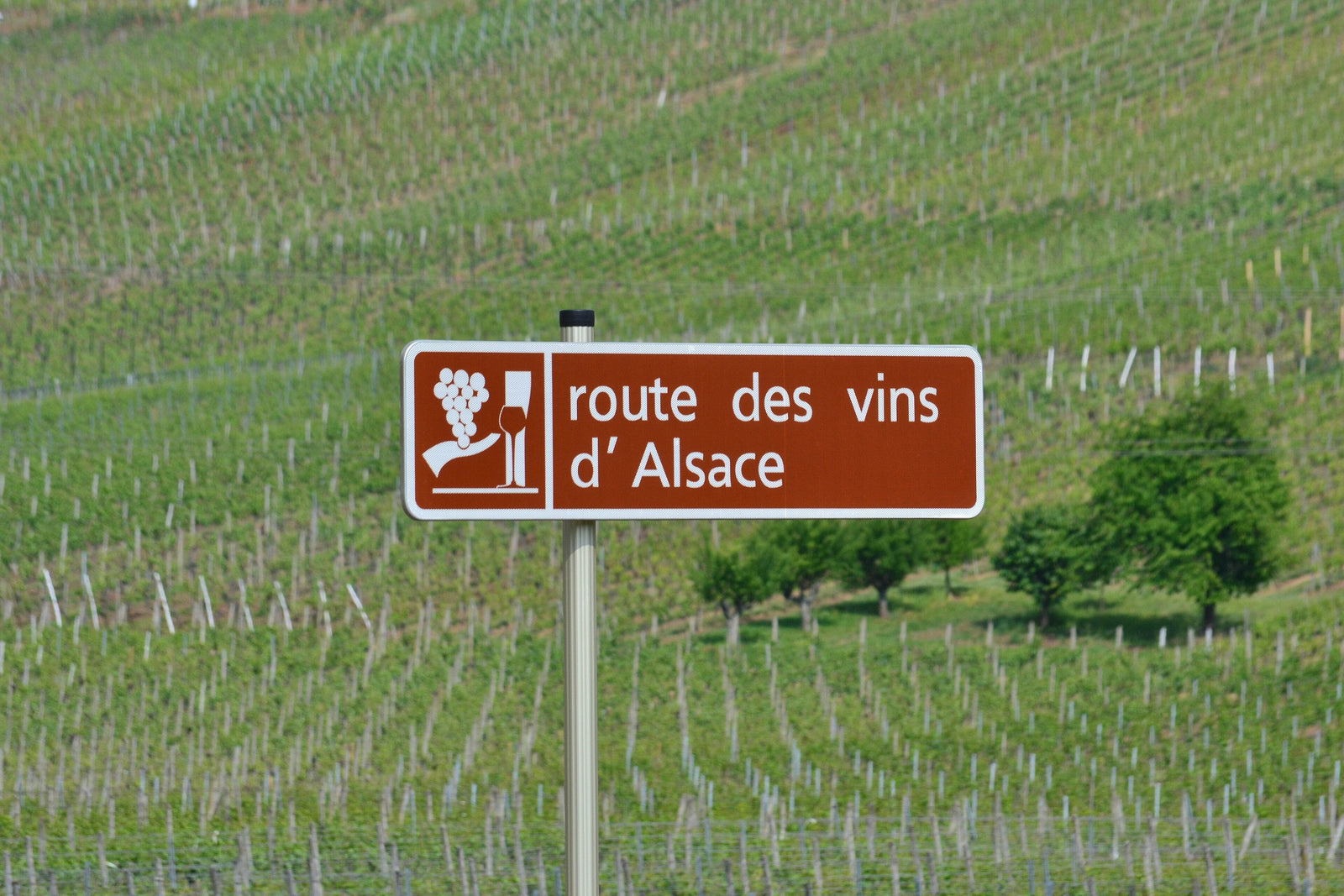 Domaine Bruno Sorg