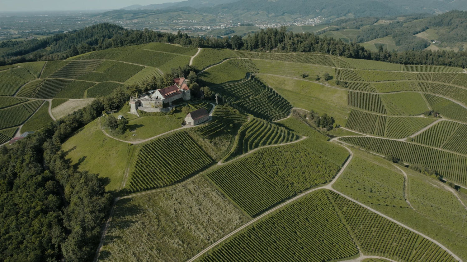 Aerial view of a hilltop castle and wine estate on steeply terraced vineyard slopes, Domaine de Beaumalric, southern France
