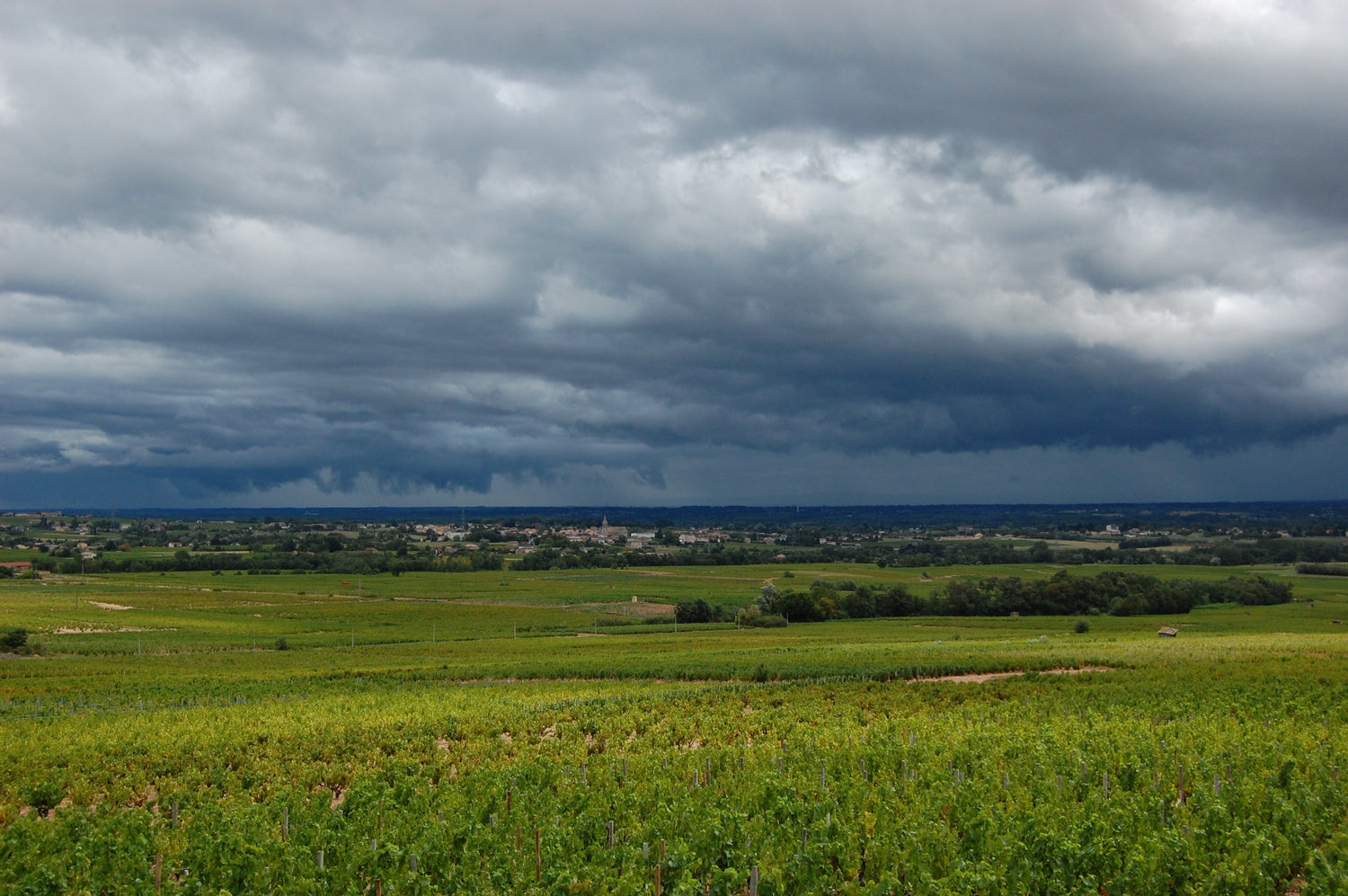 Flat Beaujolais vineyard under a dramatic stormy sky with a distant village, Domaine de la Chaponne, France. Photo: karaian (CC BY 2.0)