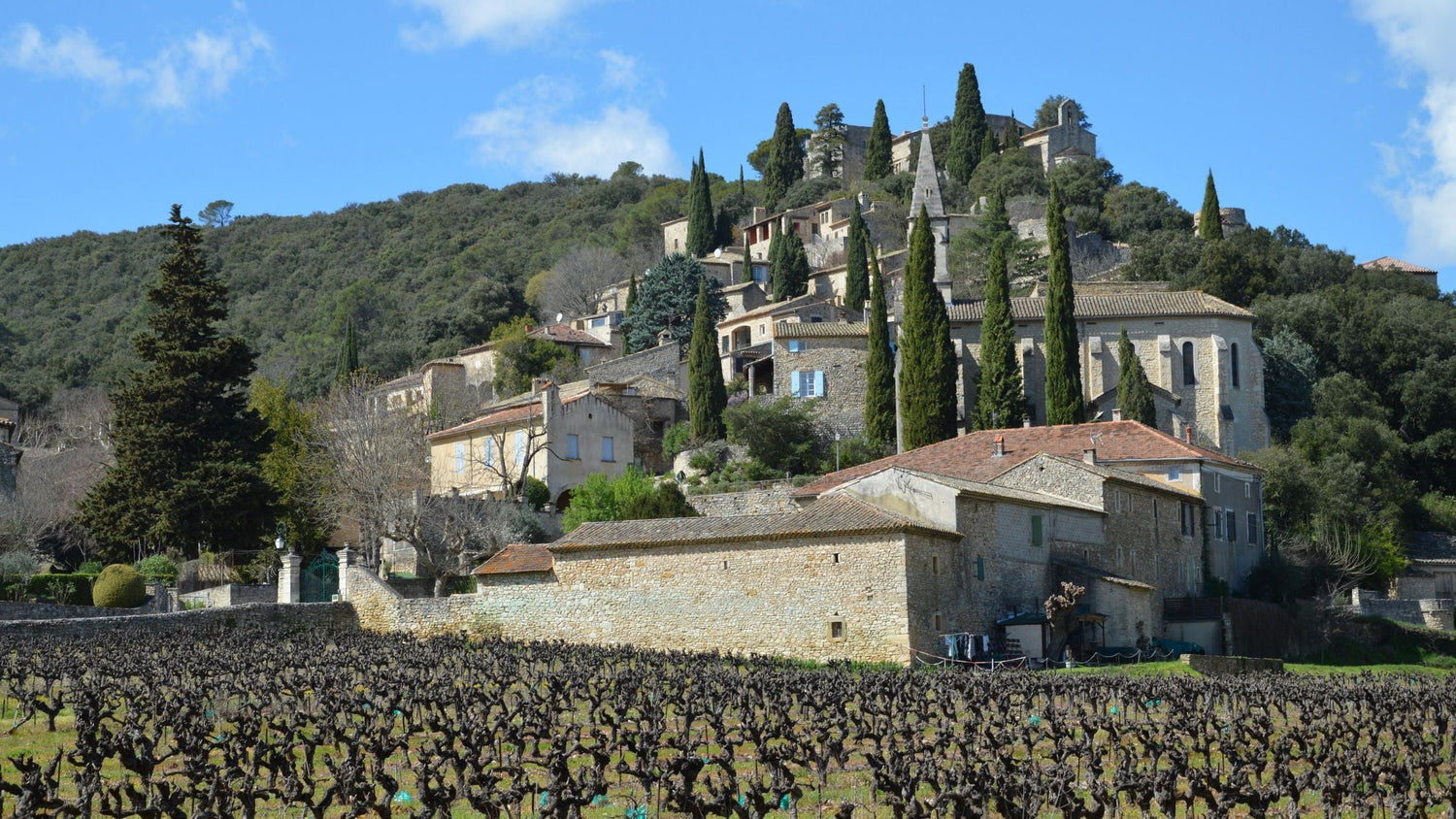 Stone-built hilltop Provençal village with tall cypress trees and winter-dormant vine rows in the foreground, Domaine de la Perrière