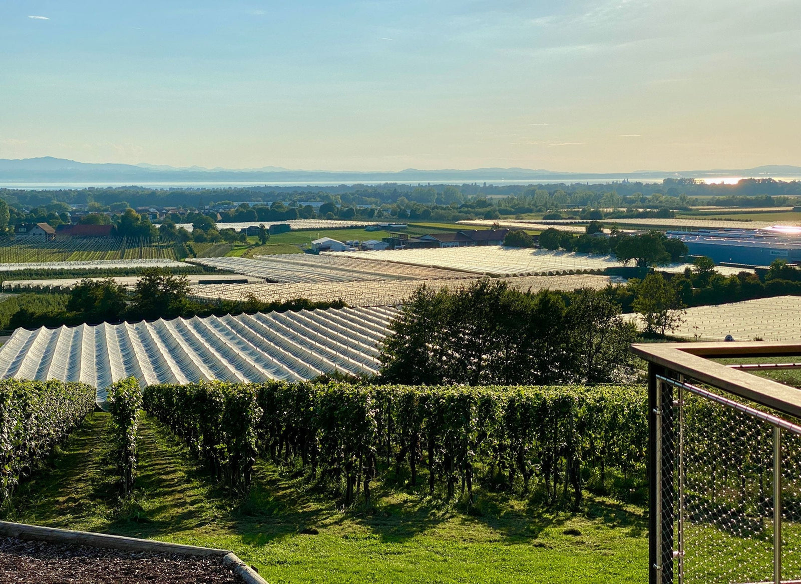 Domaine des Herbauges