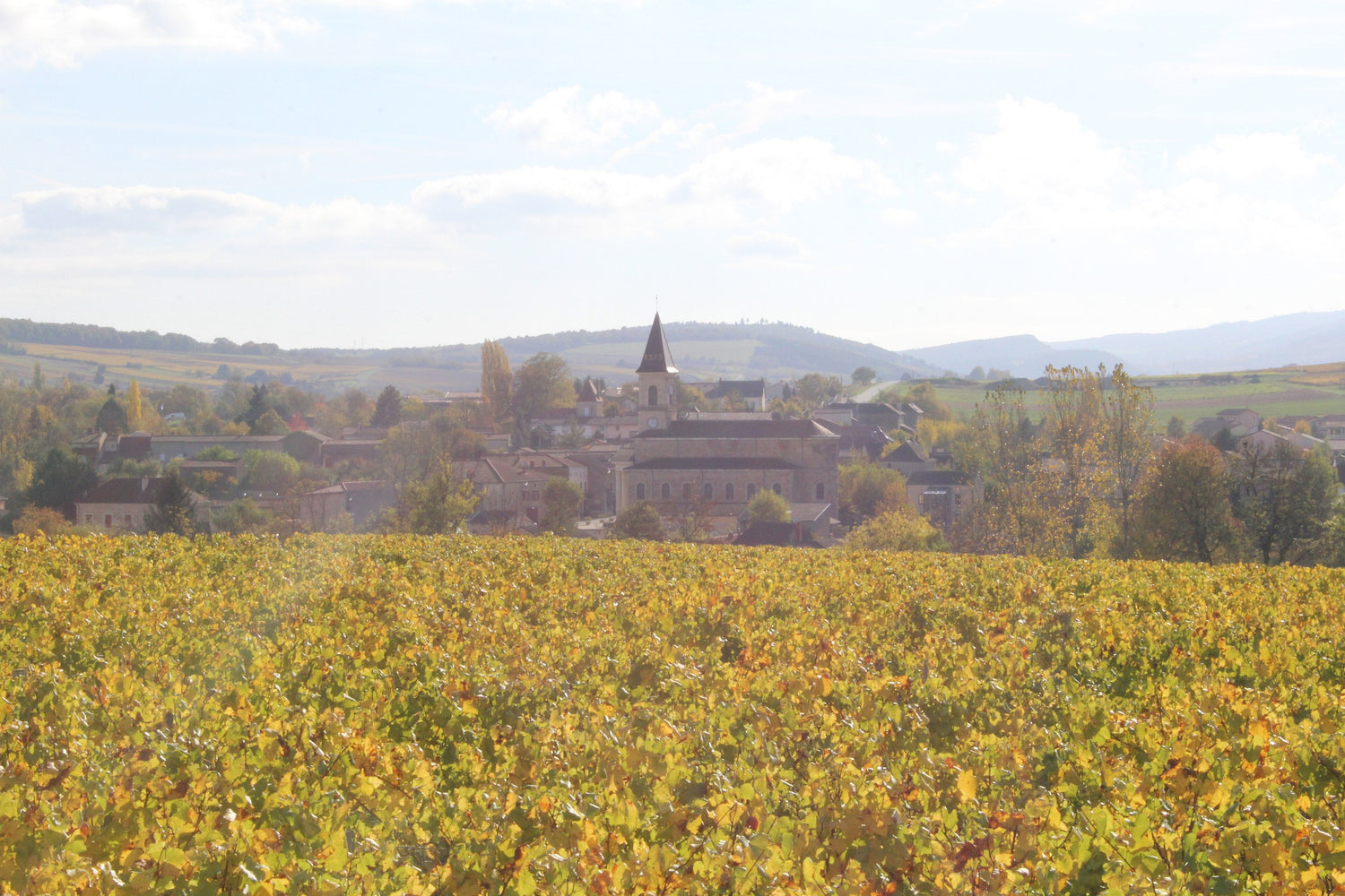 Autumn vineyard with golden leaves surrounding a French village and church spire, Domaine des Vaublins, Burgundy. Photo: Chabe01 (CC BY-SA 4.0)