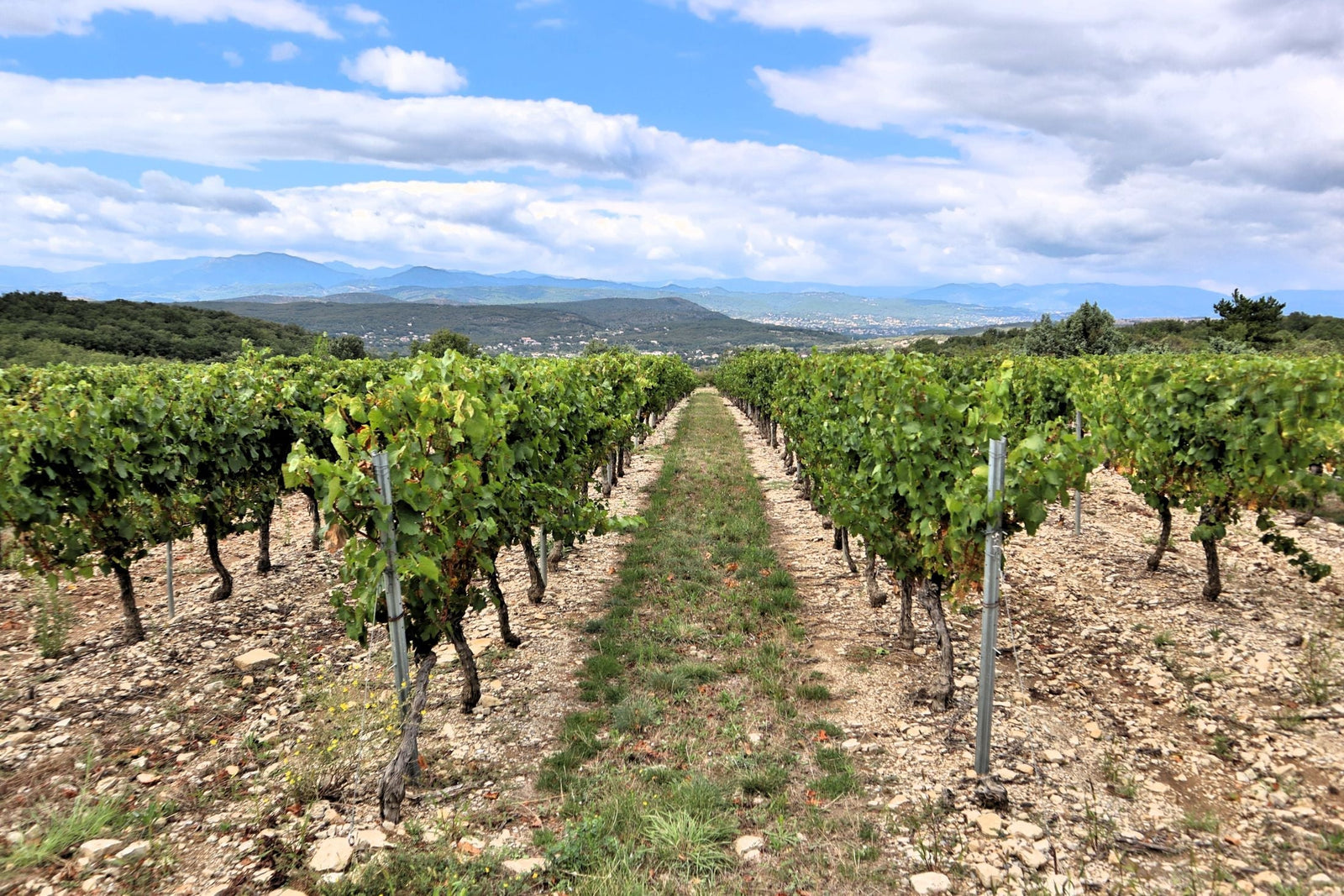 Domaine du Prieuré