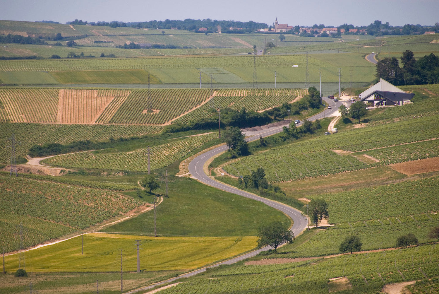 Sancerre vineyard landscape with rolling hills and winding road -- Domaine Firmin Dezat, Loire Valley, France. Photo: Chris Ruggles (CC BY 2.0)