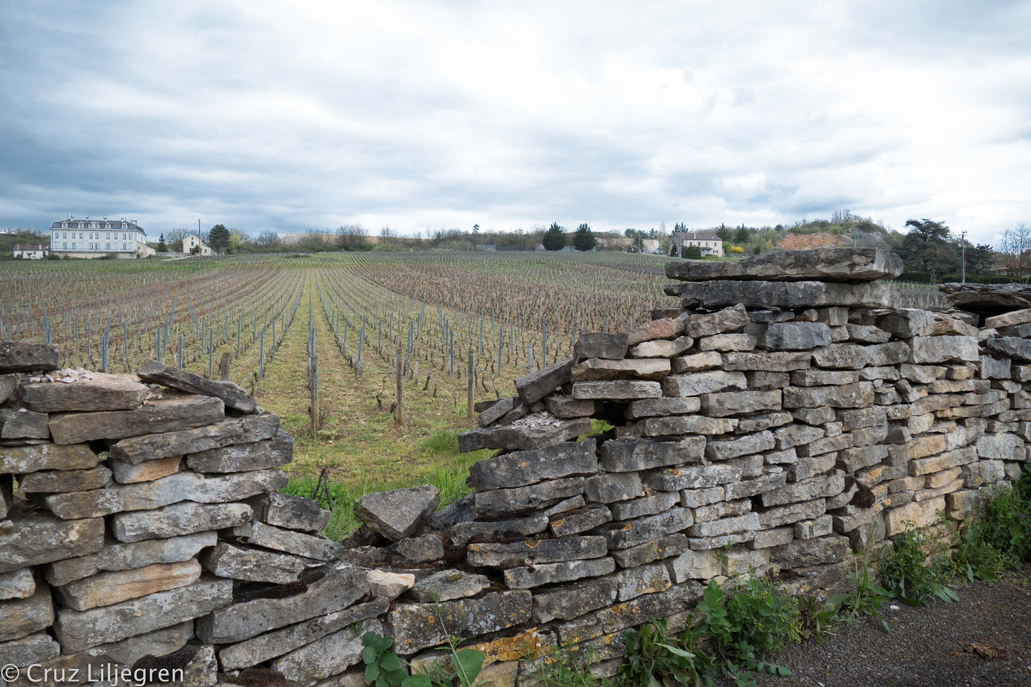 A gap in a dry-stone wall frames winter vine rows and a manor house, Domaine Gautheron, Chablis, Burgundy. Photo: Cruz Liljegren (CC BY 3.0)