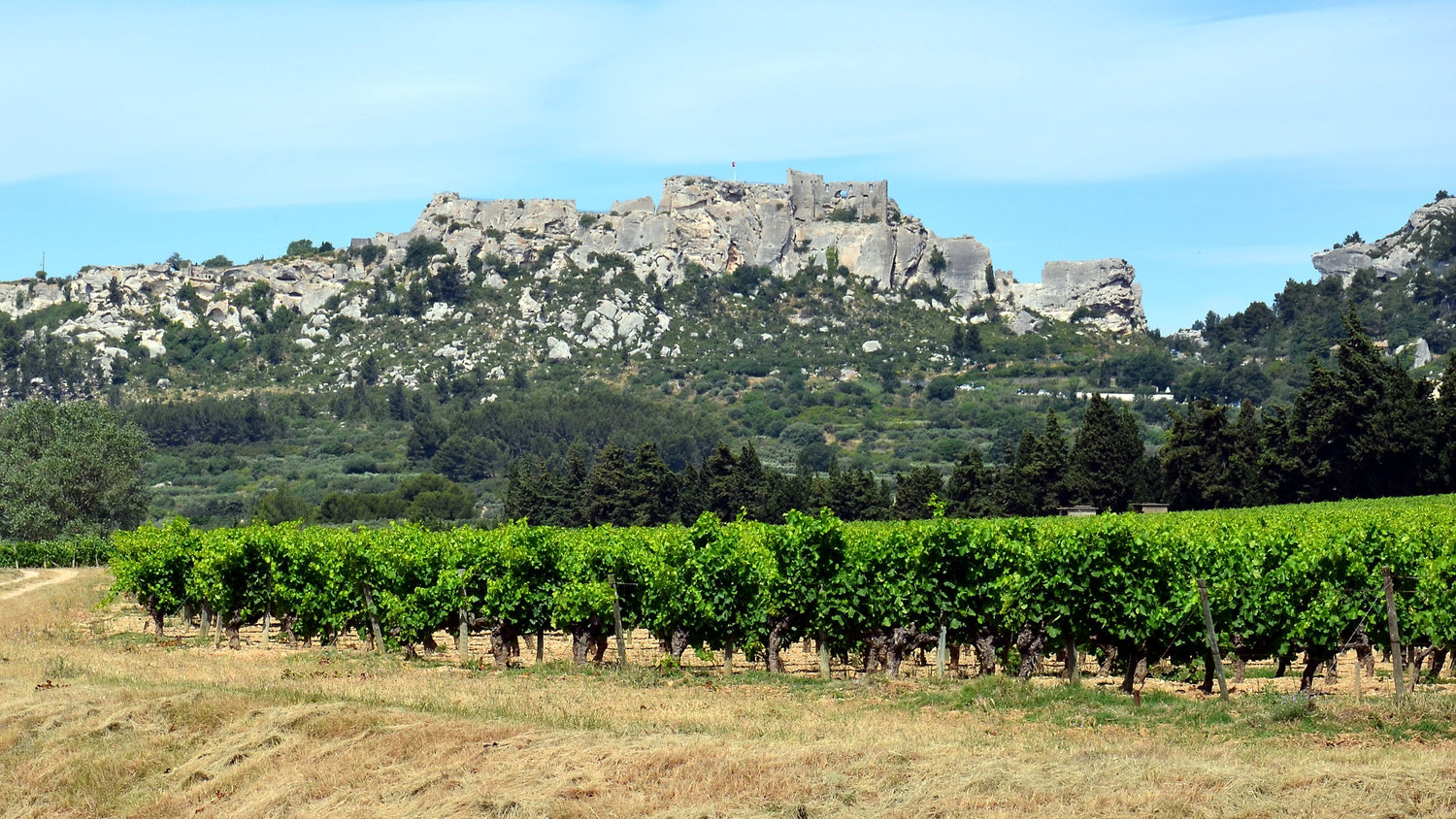 Summer vine rows beneath the dramatic limestone ruins of Les Baux-de-Provence, Domaine Gour de Chaule, southern Rhône. Photo: BlueBreezeWiki (CC BY-SA 3.0)