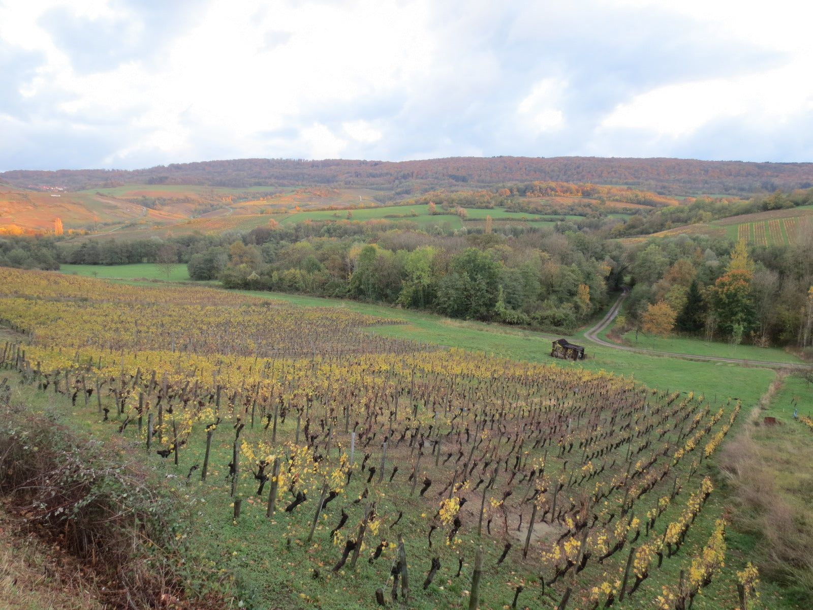Domaine Jean-Luc Mouillard