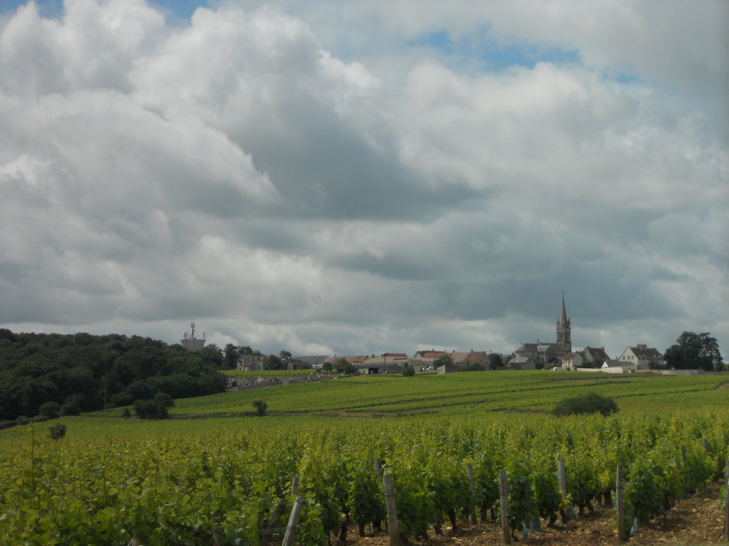 Pouilly-Fume vineyard with village church under dramatic clouds -- Domaine Landrat-Guyollot, Loire Valley, France. Photo: Jameson Fink (CC BY 2.0)