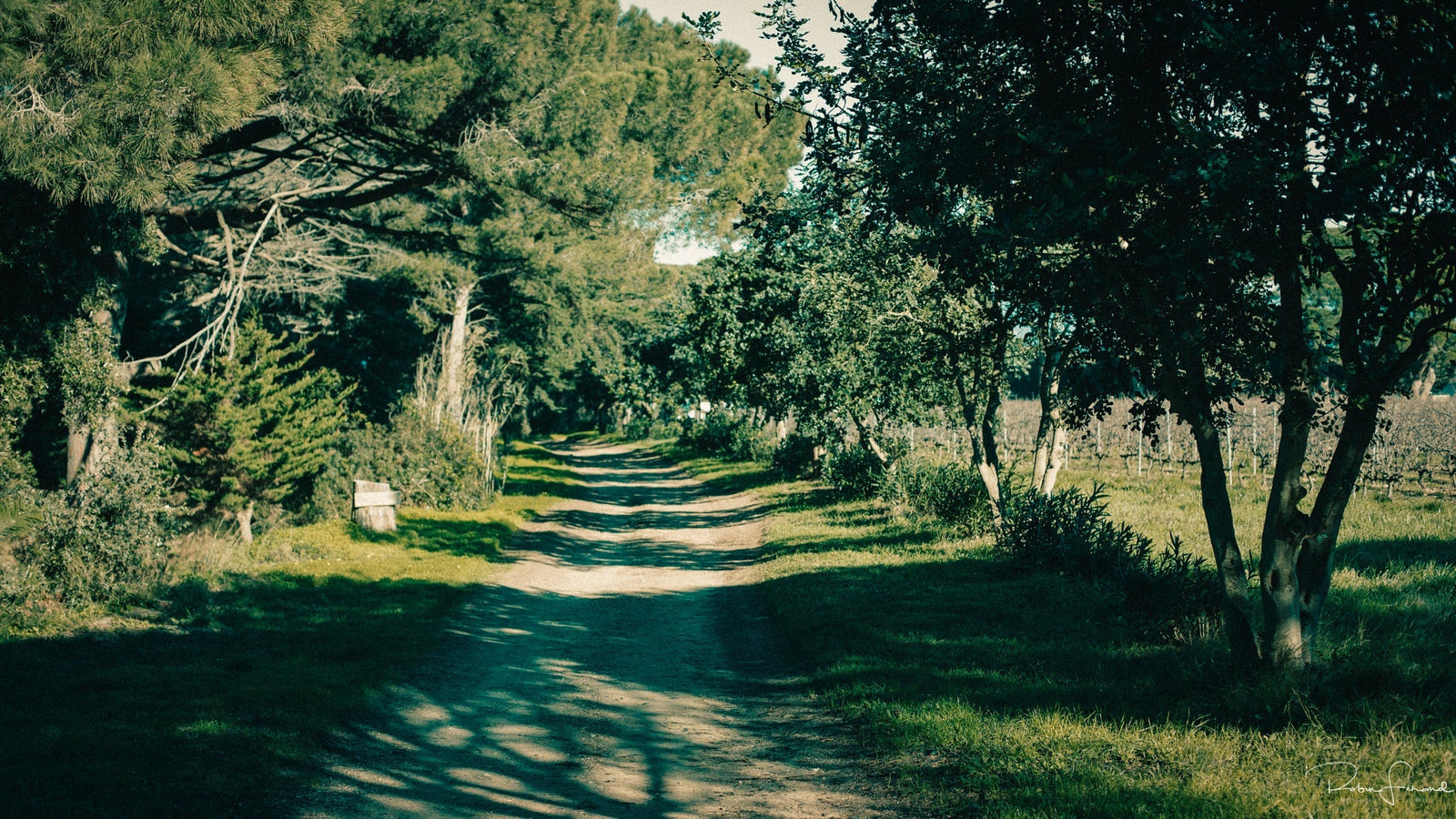 Domaine ODDO