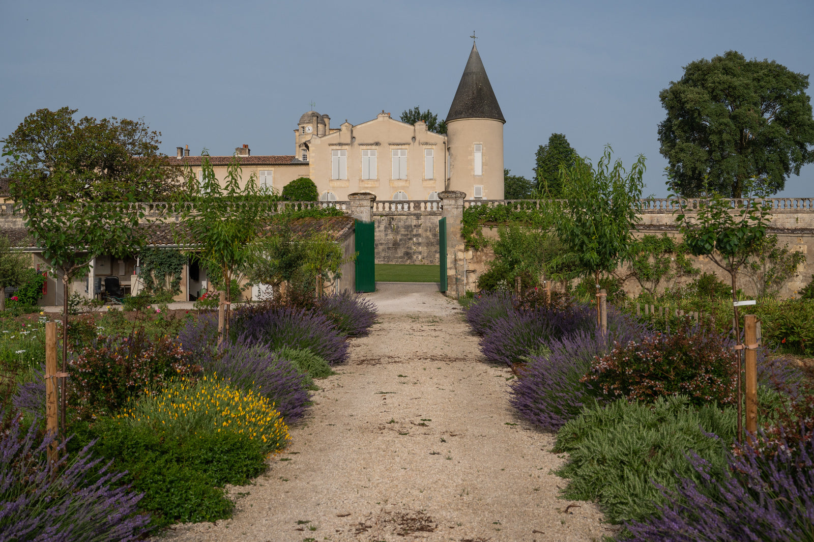 Domaines Barons de Rothschild (Lafite)