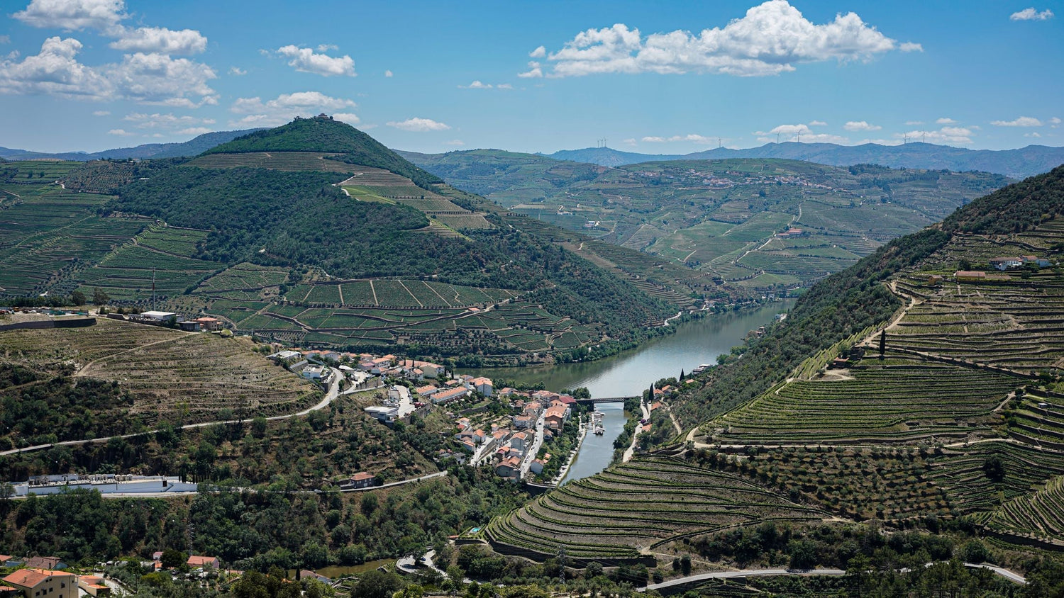 Sweeping terraced vineyard slopes dropping to the Douro river valley, Douro wine region, Portugal