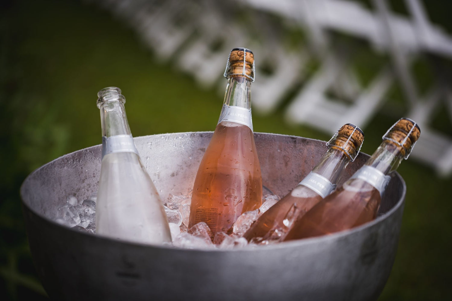 Four sparkling wine bottles chilling in an ice bucket outdoors, celebrating English sparkling wine