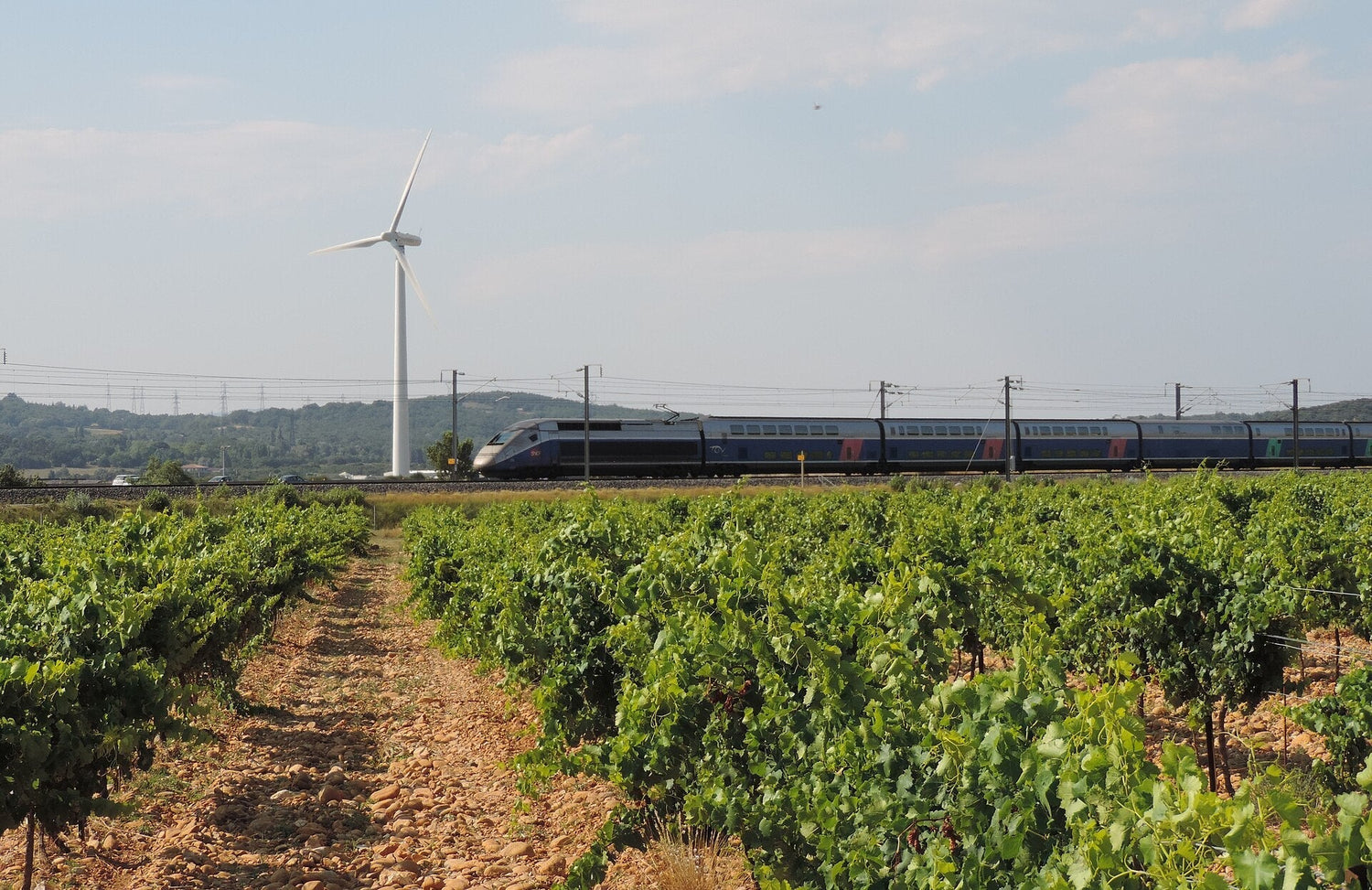 Provence vineyard with a TGV high-speed train passing through the Var landscape beside a wind turbine, southern France. Photo: Dmytro Ivashchenko, Wikimedia Commons (CC BY-SA 4.0)