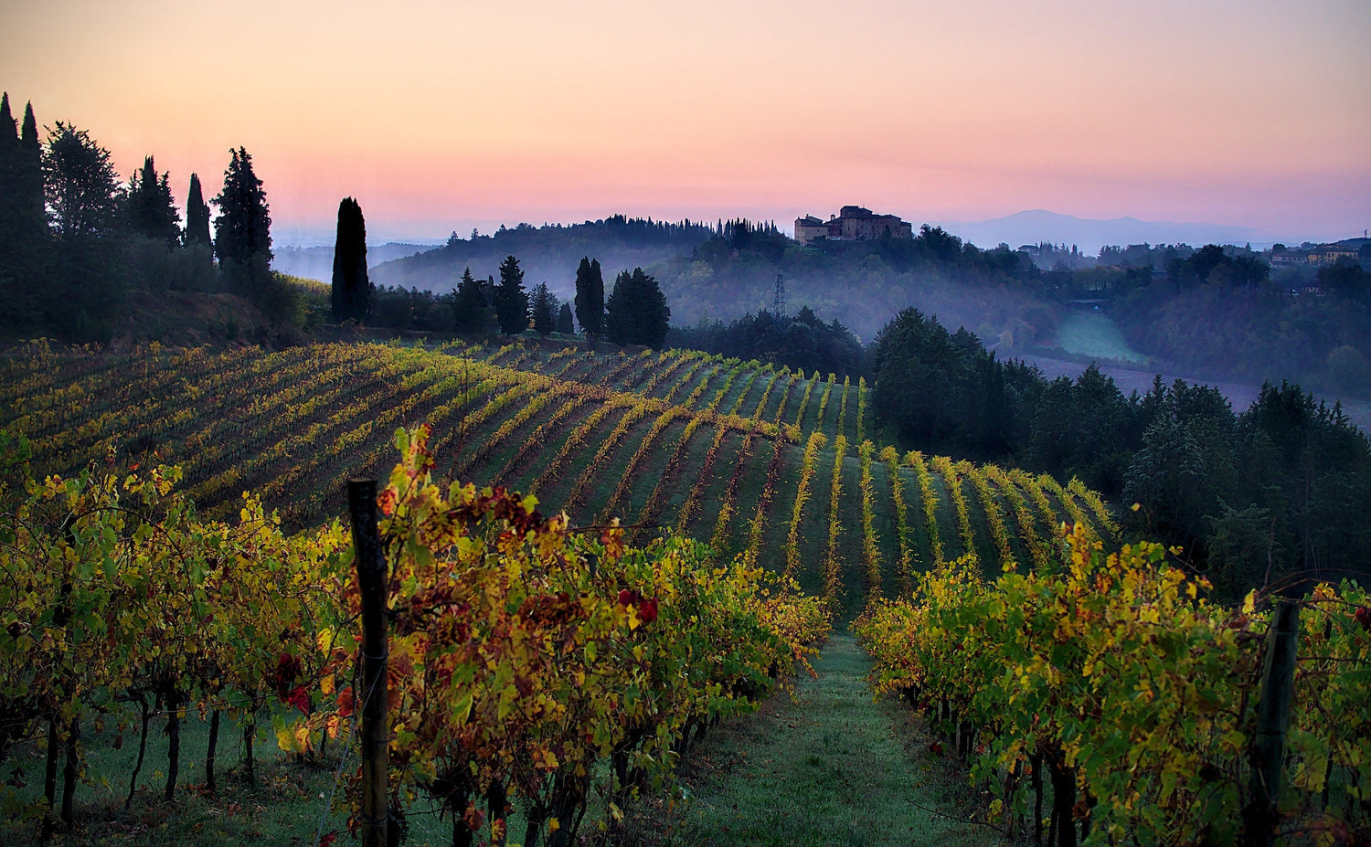 Tuscan vineyard hills glowing gold in autumn at dusk with cypress trees and a hilltop castle, Fattoria Nittardi, Tuscany. Photo: Flickr/126875359@N03, Wikimedia Commons (CC BY-SA 2.0)