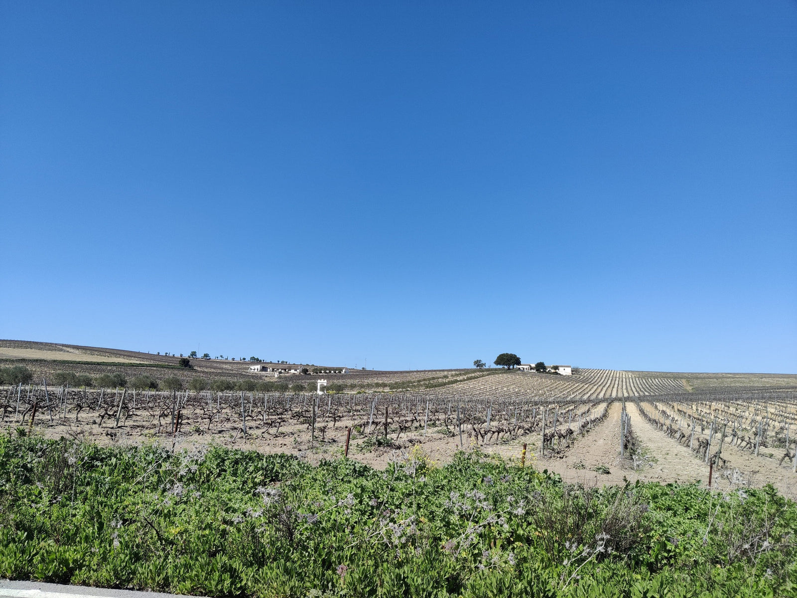 Finca Moncloa