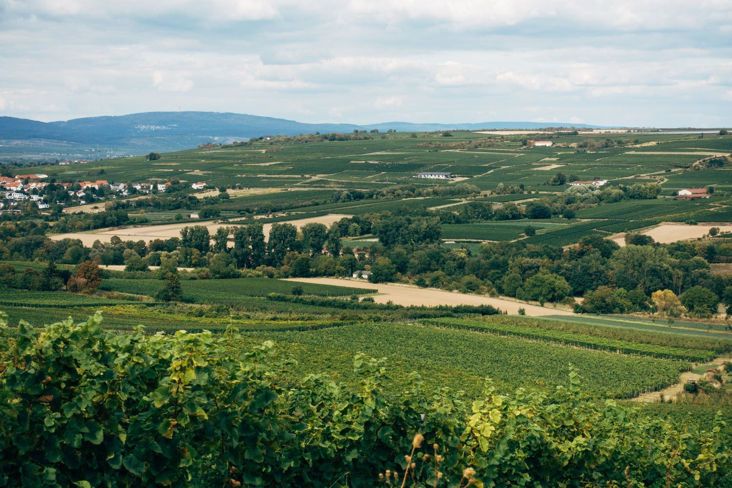 Panoramic rolling vine-covered hills with a wine village and blue distant ridges, Gamay grape wine country, France