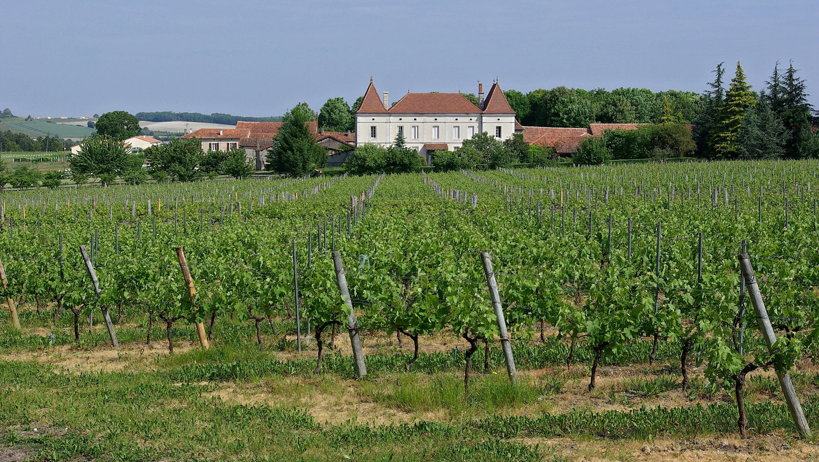 Gosset