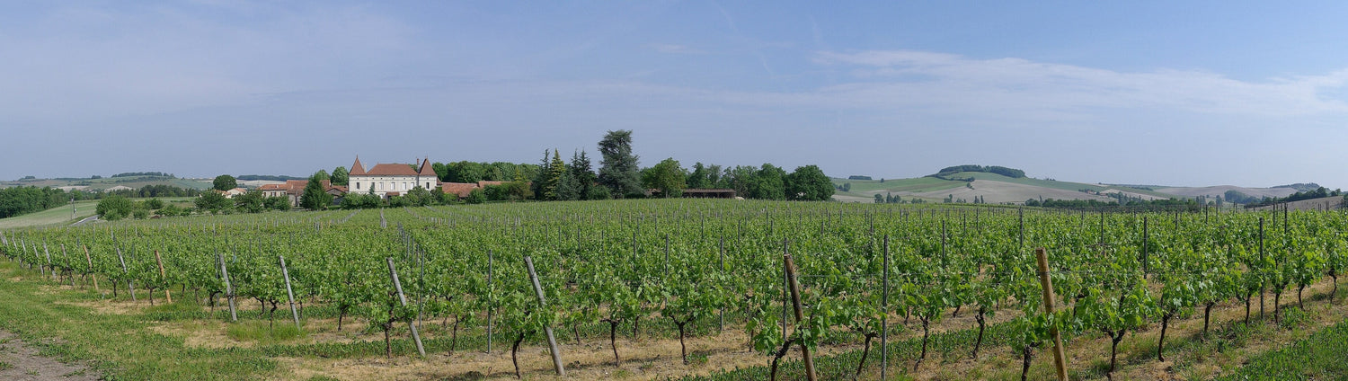 Sweeping panoramic view of Champagne vineyards with a winery estate on the horizon, Marne, France — H. Blin. Photo: JLPC, Wikimedia Commons (CC BY-SA 3.0)