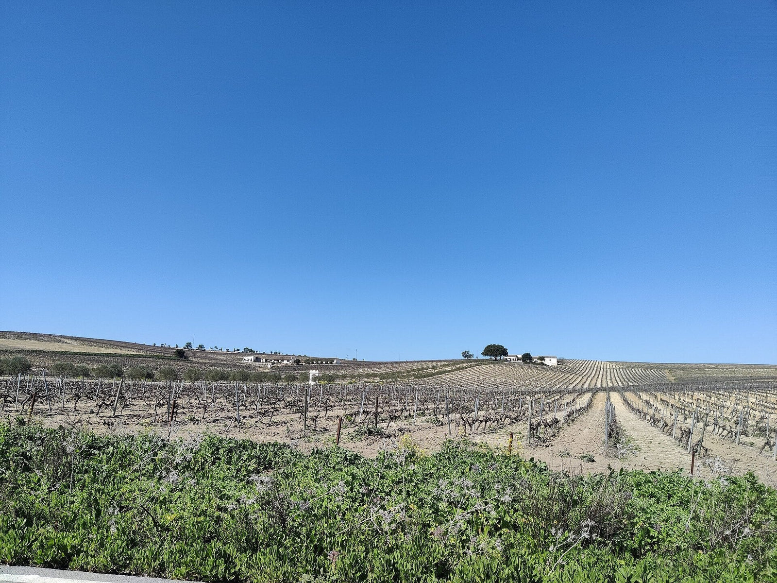 Jerez