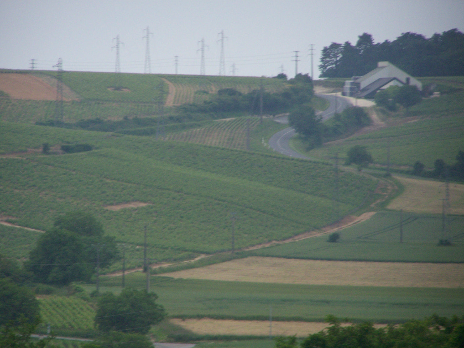 Hillside vineyards of the Sancerrois region -- Joseph Mellot, Loire Valley, France. Photo: LeMorvandiau (CC BY-SA 3.0)