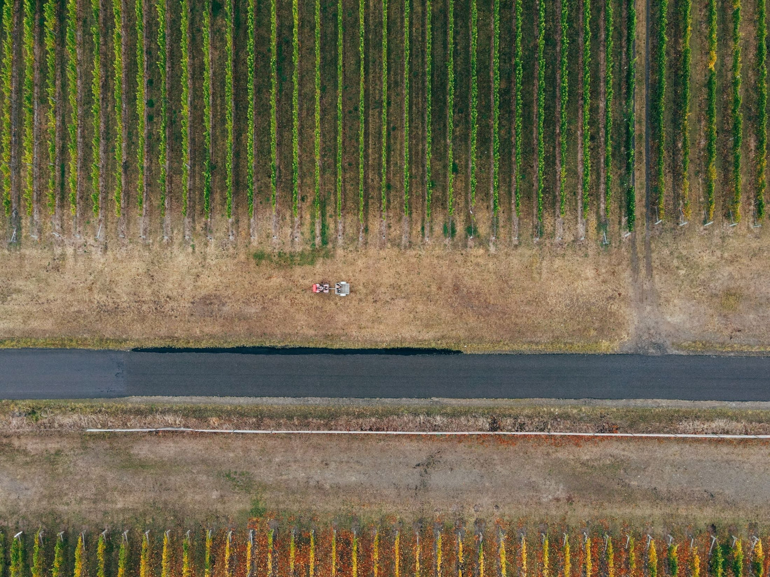 Aerial view of vineyard rows with a tractor at Kangarilla Road Winery, McLaren Vale, South Australia