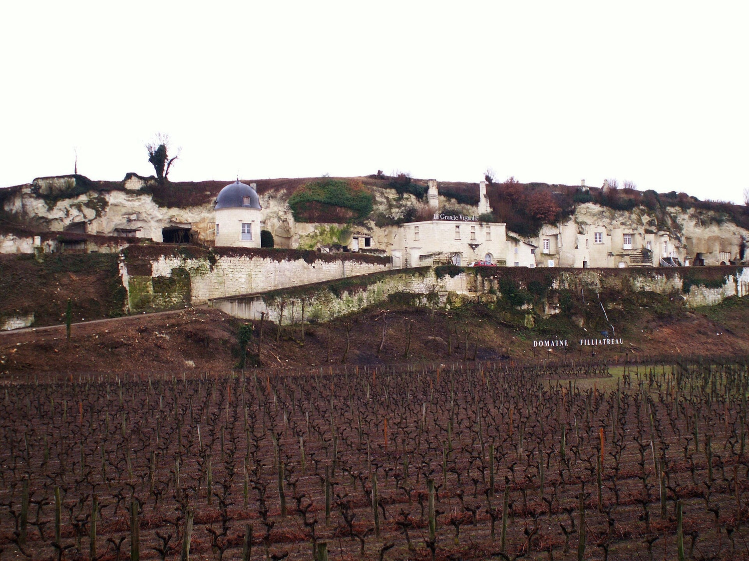 Winter vineyards below tufa-stone cliffs with cave dwellings in the Loire Valley, France. Photo: A3X (CC BY-SA 2.0)