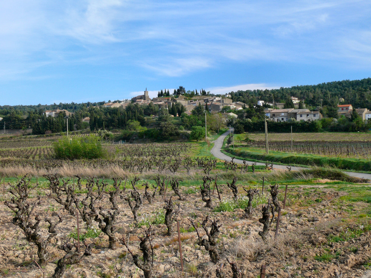 Dormant old bush vines on rocky ground with a hilltop Languedoc village in the background, France. Photo: Christian Ferrer (CC BY-SA 4.0)