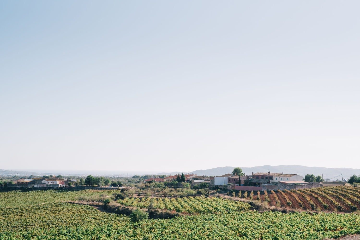 Walled estate and vineyard rows with a Catalan village and hills beyond, Masia Salat wine country, Catalonia, Spain