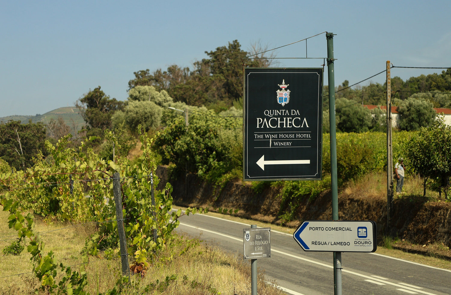 Road signs and vineyard rows in the Douro wine region of Portugal, Maynards wine country. Photo: Rosino (CC BY-SA 2.0)