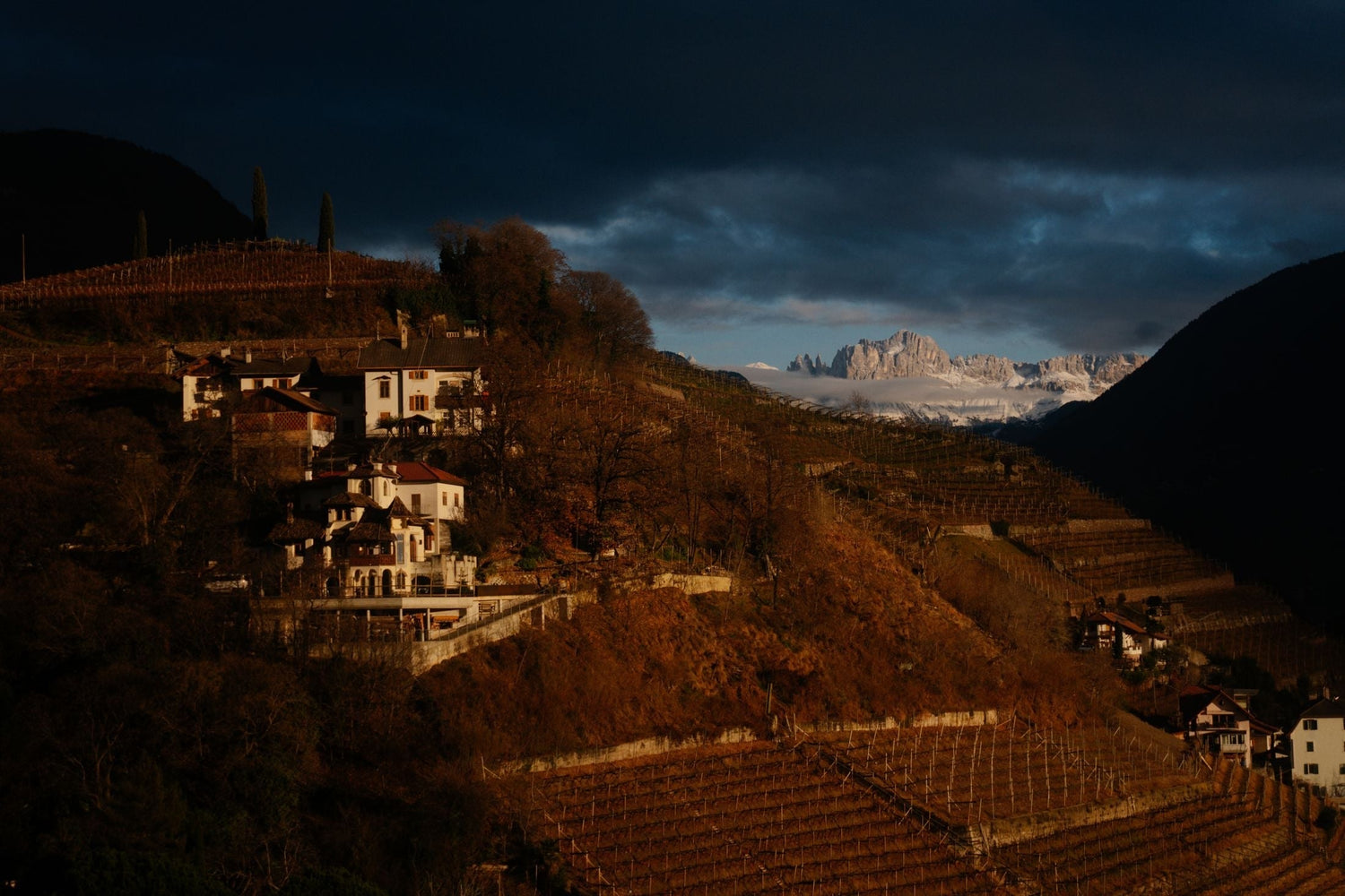 Terraced vineyards on steep alpine hillsides with a historic mountain village and Dolomite peaks beyond, Monte Bruto wine country