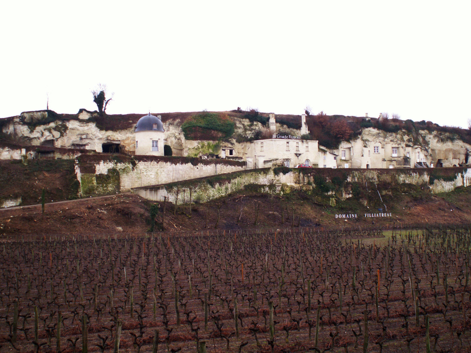 Winter vineyard with bare vine rows in front of troglodyte cave dwellings carved into chalk cliffs, Loire Valley, France. Photo: A3X (CC BY-SA 2.0)