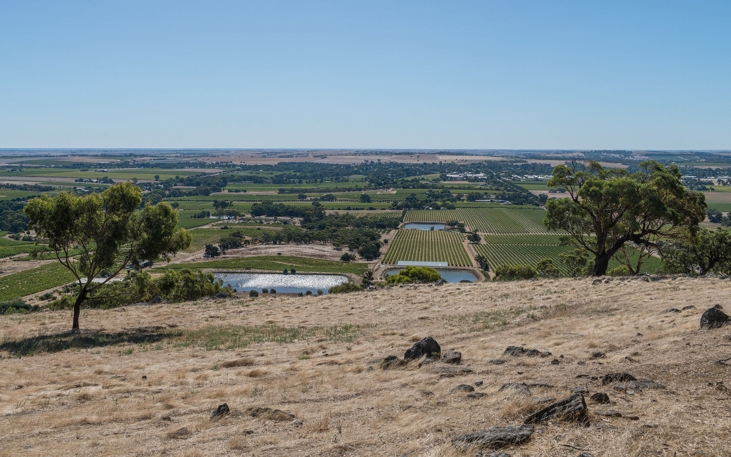 Aerial view of Barossa Valley vineyards and dam, South Australia, the spiritual home of Penfolds. Photo: User:DXR (CC BY-SA 4.0)