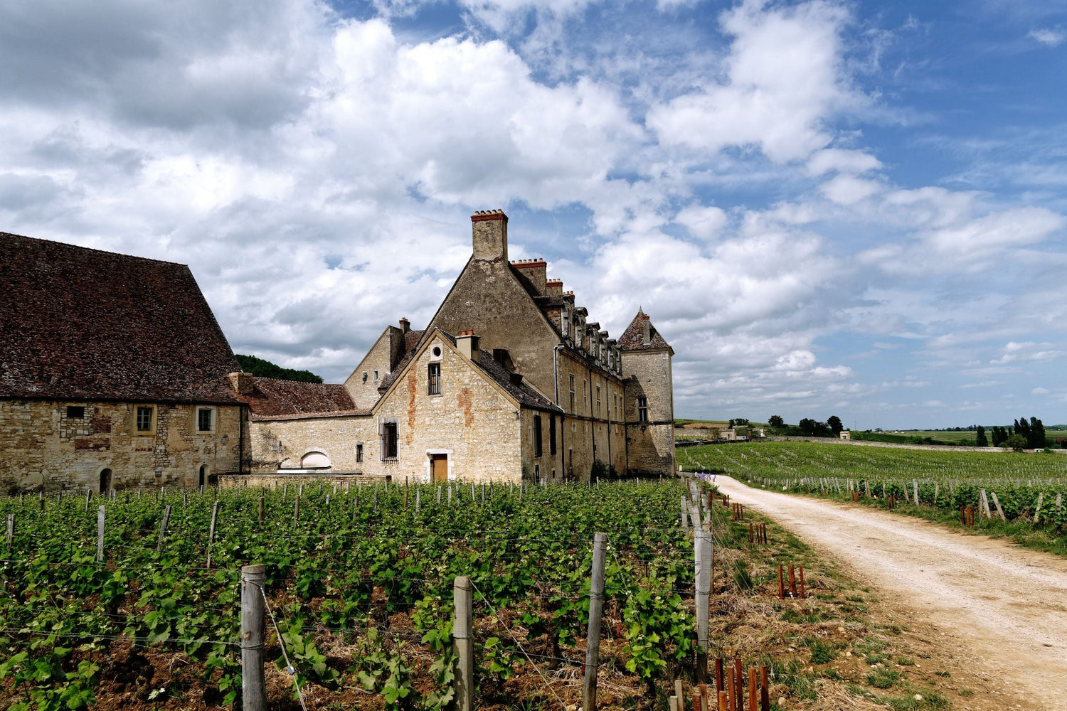 Chateau de Vougeot amid lush Burgundy vineyards under a bright sky, the iconic landscape of Pierre Lacasse wines