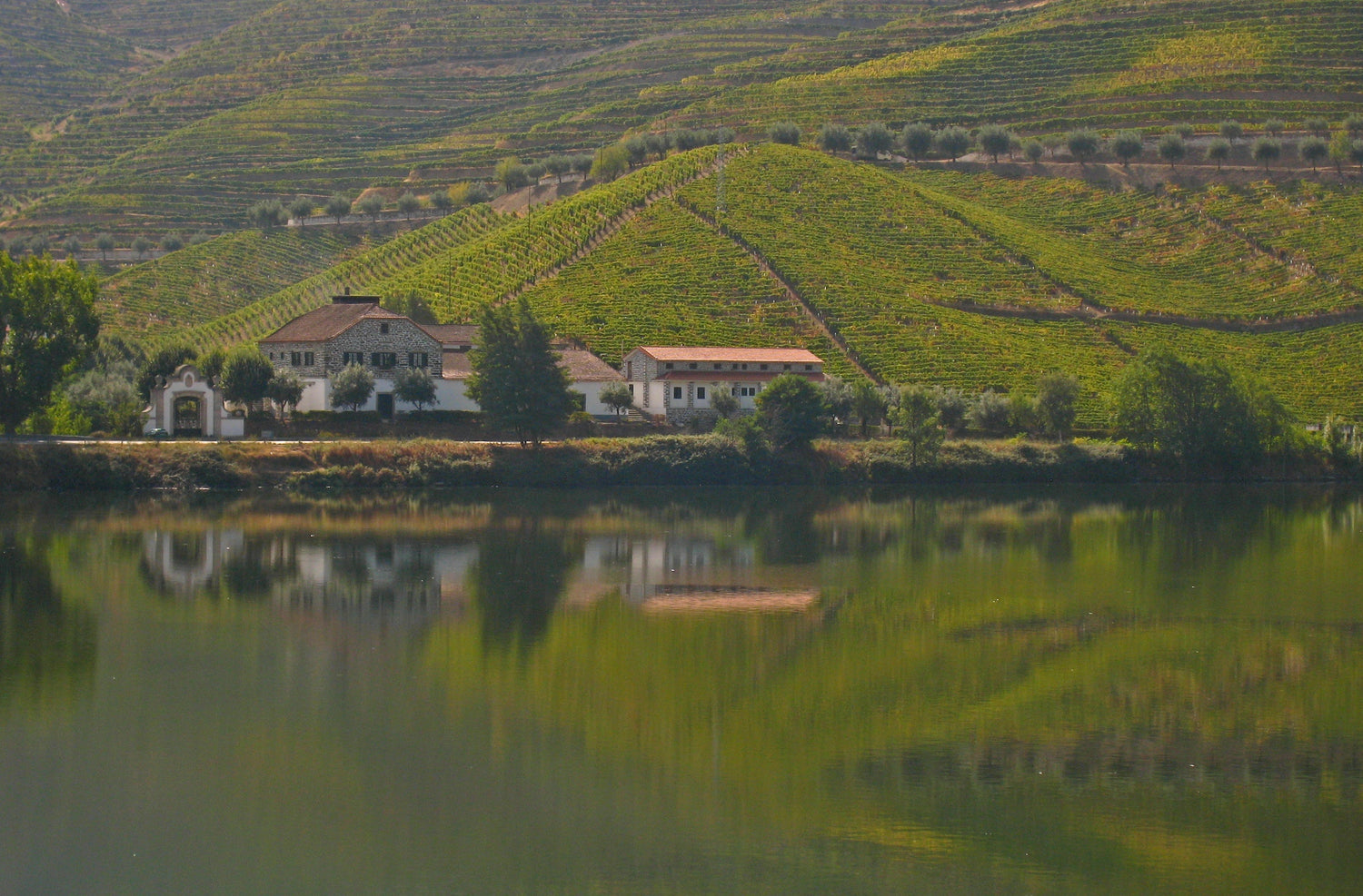 A traditional Douro Valley quinta estate reflected in the river, with terraced vineyards rising behind, Portugal. Photo: Harshil Shah (CC BY-SA 2.0)
