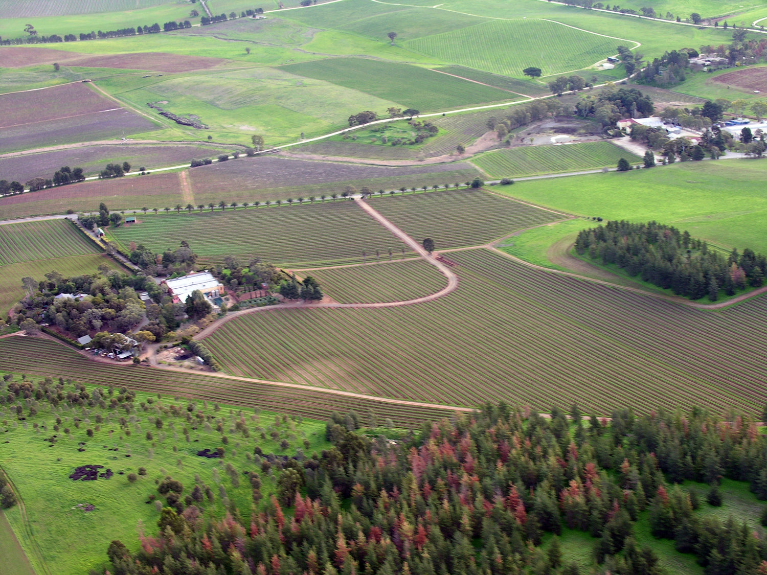 Aerial view of vineyard blocks and farmland in the South African wine country, origin of RAAR wines. Photo: Louis Roving (CC BY 2.0)